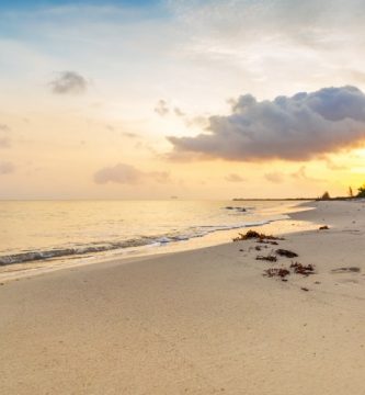 Las 5 Playas de Yucatán que Debes Conocer