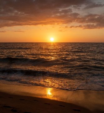 Los 10 mejores hoteles en Nuevo Vallarta ¡Elige el mejor para ti!