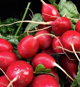 Noche de rábanos en Oaxaca ¿En qué consiste este concurso?