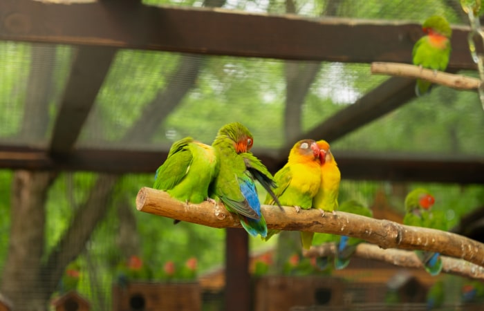 5 tips para disfrutar tu visita al Zoológico de Chapultepec