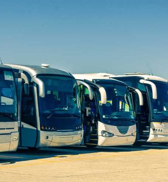 Diferencias entre autobuses en México: económico vs. lujo