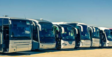 Diferencias entre autobuses en México: económico vs. lujo