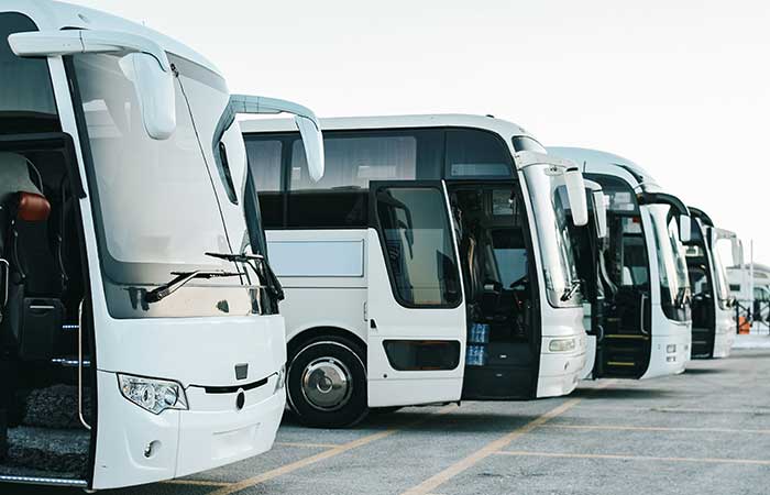 Diferencias entre autobuses en México: económico vs. lujo