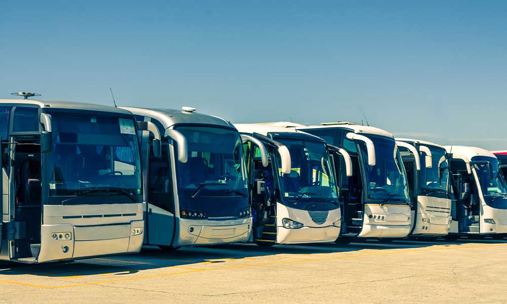Diferencias entre autobuses en México: económico vs. lujo